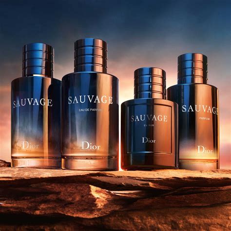 checkfresh dior sauvage|sauvage perfume Dior.